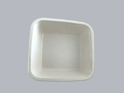 ZP001