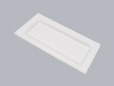 RP04
